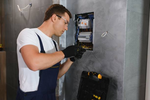 Best Outdoor Lighting Installation  in Thonotosassa, FL