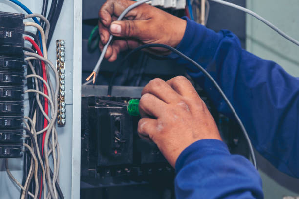 Best Local Electrician Companies  in Thonotosassa, FL